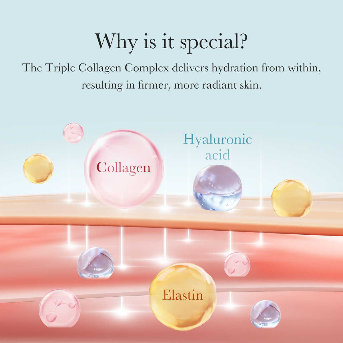 triple-collagen-cream-n7 04_8e4e330d-7d9c-4ff0-93ec-ea541093220c.jpg