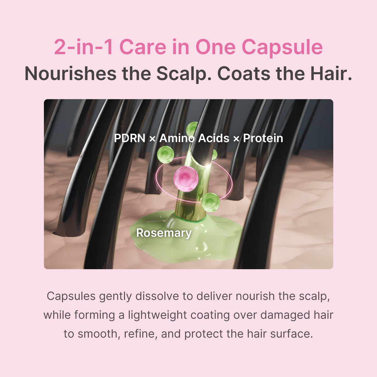 rosemary-pdrn-hair-and-scalp-conditioner-k2 US_ME_RosemaryConditioner_th05.jpg